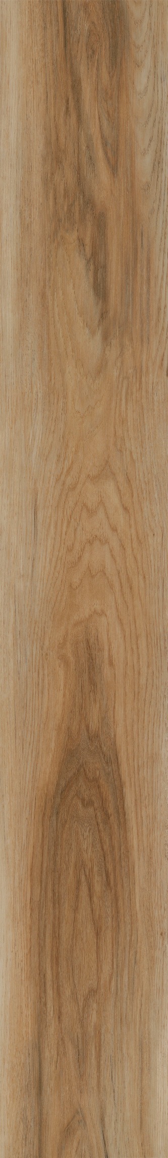 HCR2220PARCHMENT.jpg
