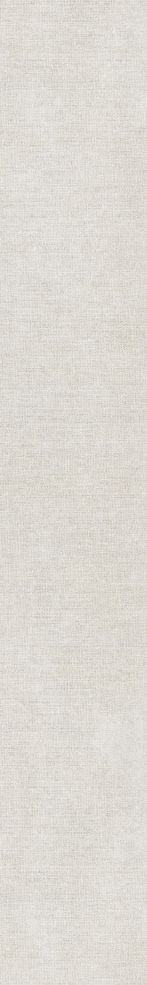 WS217Fossil1.jpg