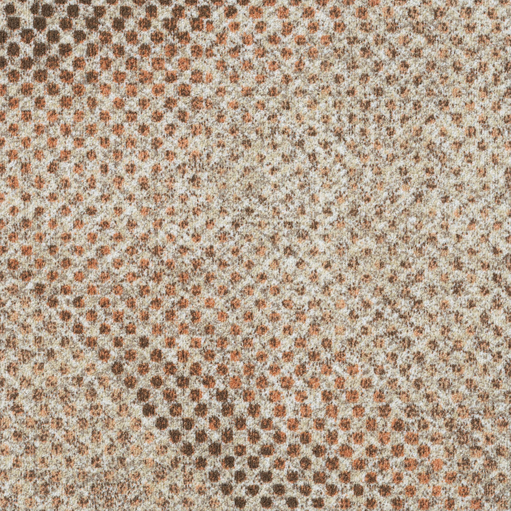ATG262224207BakedEarth1.jpg